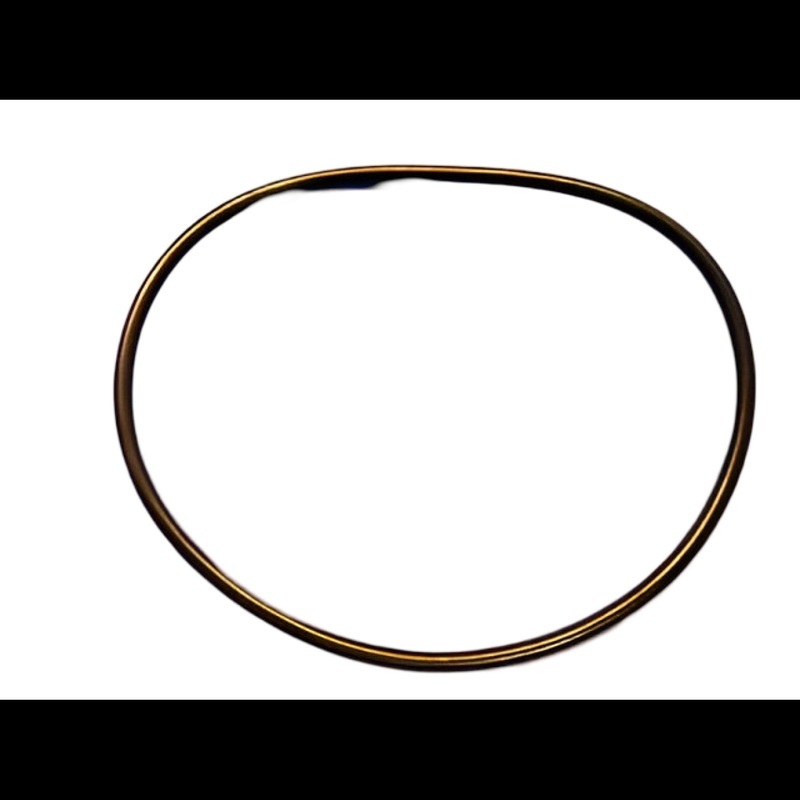 Ridgid 50443 O-RING